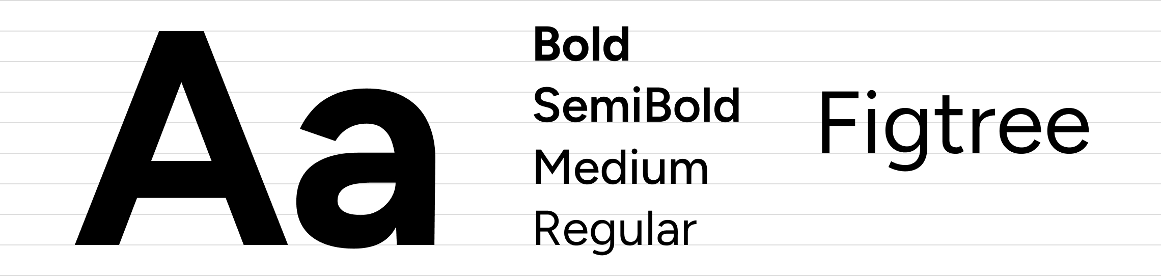 Typography